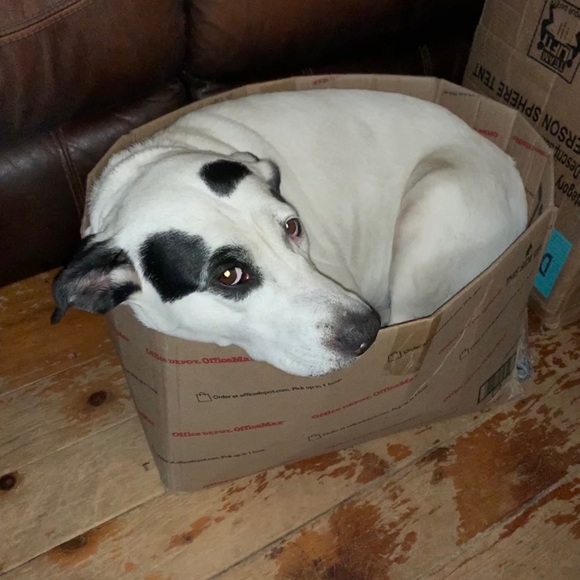 Meet The Posher! - Picture 14 of 16